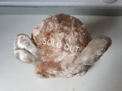 画像9: アンティークテディベア