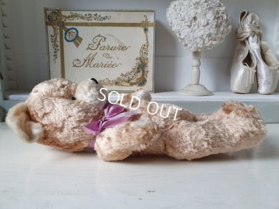 画像15: アンティークテディベア