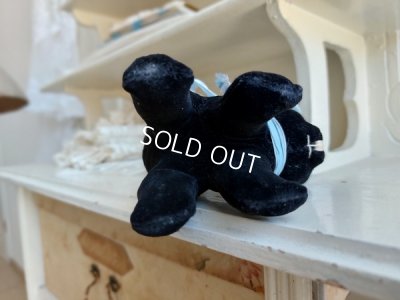 画像9: 黒猫トムキャット