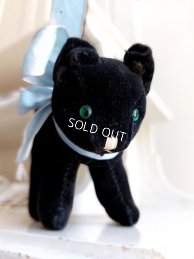 画像7: 黒猫トムキャット