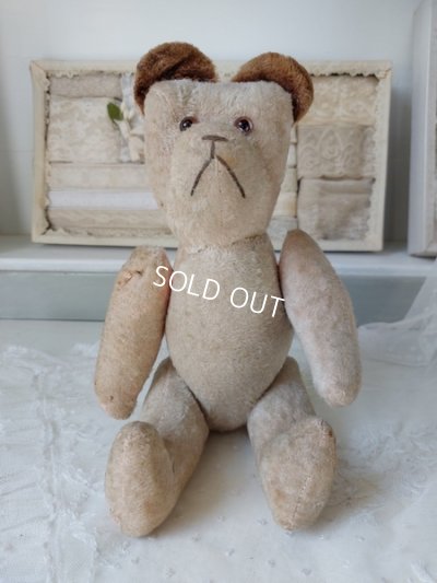 画像4: JPMピンクテディベア