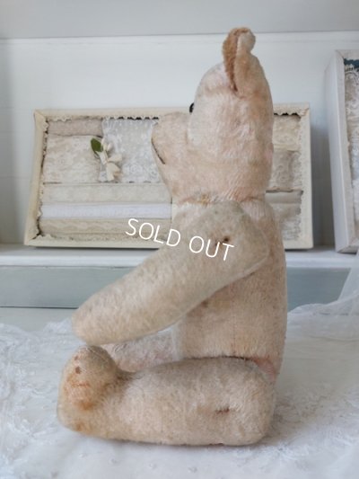 画像5: JPMピンクテディベア