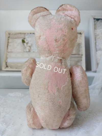 画像6: JPMピンクテディベア