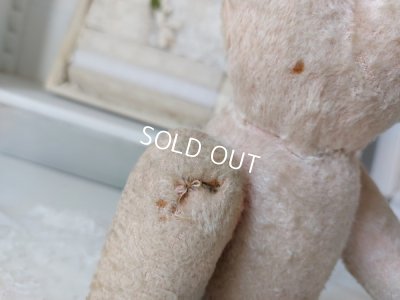 画像12: JPMピンクテディベア