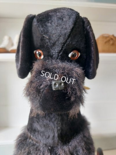 画像8: 車輪付きプードル