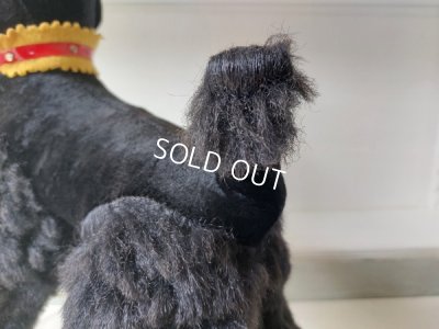 画像12: 車輪付きプードル