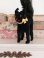 画像1: シュタイフ社の黒猫TomCat (1)