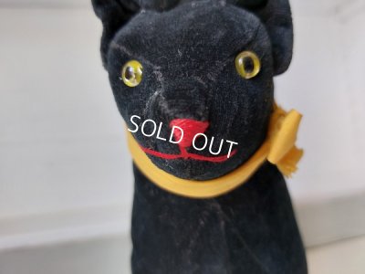 画像7: シュタイフ社の黒猫TomCat