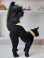 画像2: シュタイフ社の黒猫TomCat (2)
