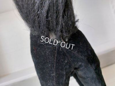 画像13: シュタイフ社の黒猫TomCat