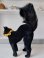 画像3: シュタイフ社の黒猫TomCat