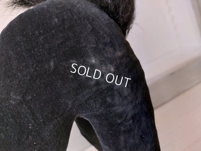 画像11: シュタイフ社の黒猫TomCat