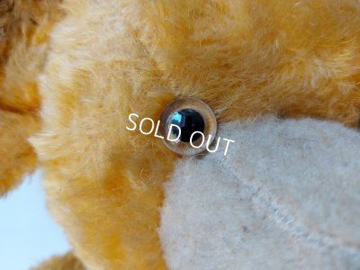 画像7: アンティークテディベア