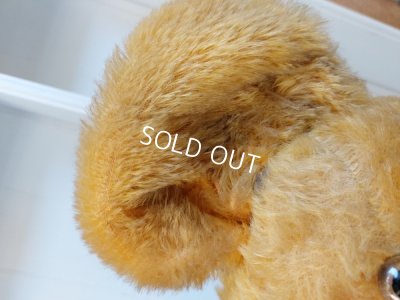 画像8: アンティークテディベア