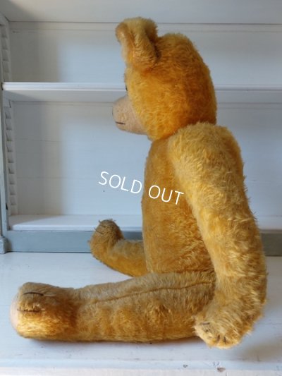 画像5: アンティークテディベア