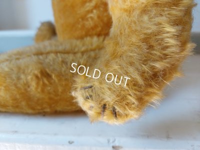 画像10: アンティークテディベア