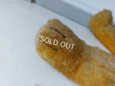 画像11: アンティークテディベア