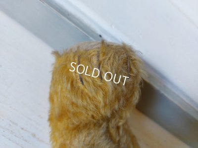 画像12: アンティークテディベア