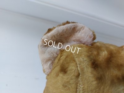 画像9: アンティークフレンチテディベア