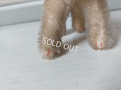 画像12: シュタイフ猫