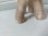 画像12: シュタイフ猫