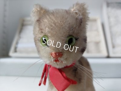 画像8: シュタイフ猫