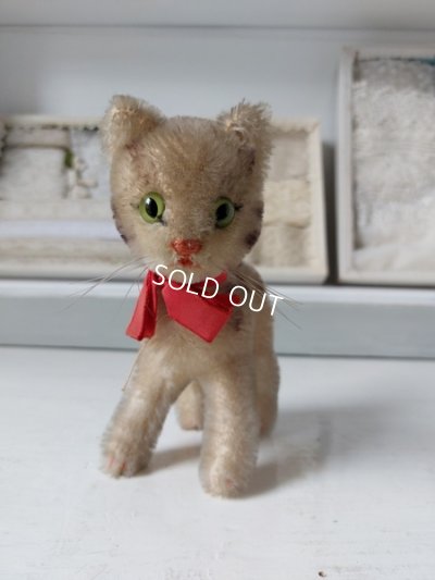 画像2: シュタイフ猫