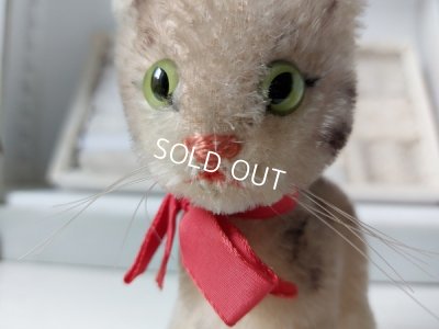 画像9: シュタイフ猫