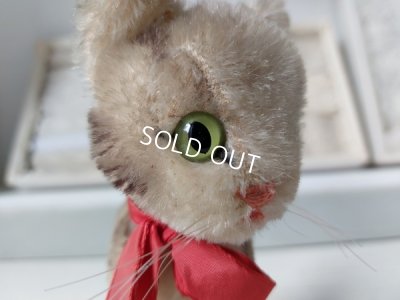 画像10: シュタイフ猫