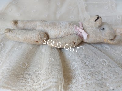 画像13: アンティークピンクテディベア