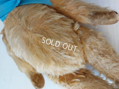 画像10: アンティークテディベア