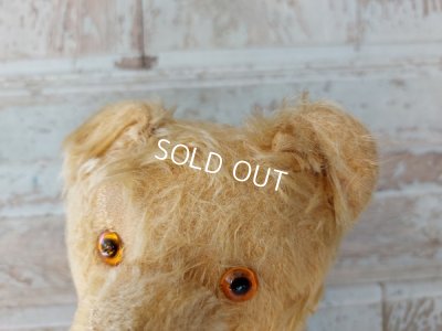 画像8: アンティークテディベア