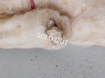 画像18: クリスマスコットンコスチュームアンティークビスクドール