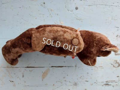 画像14: アンティークテディベア