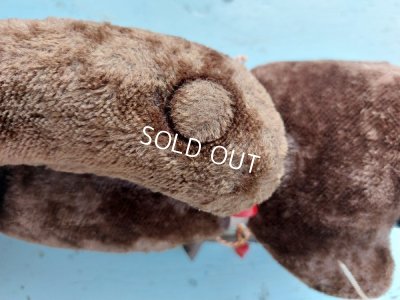 画像15: アンティークテディベア