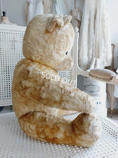 画像9: アンティークテディベア