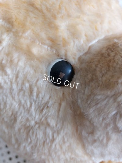 画像7: アンティークテディベア