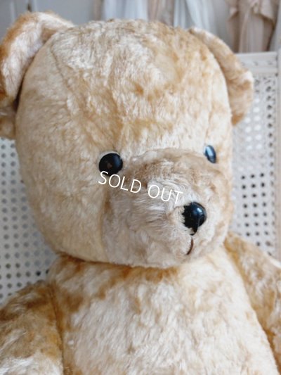画像2: アンティークテディベア