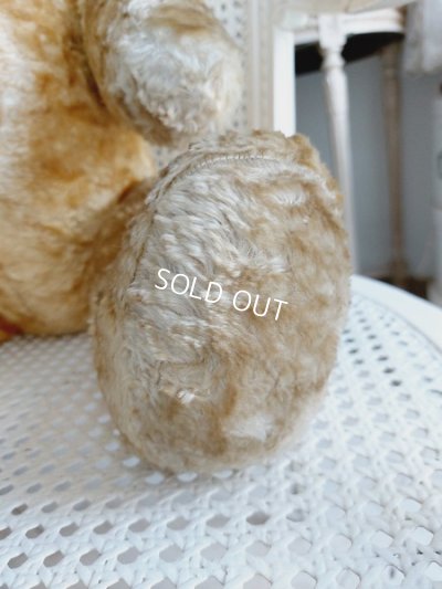 画像13: アンティークテディベア