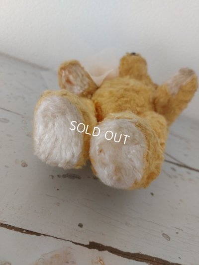 画像13: アンティークテディベア