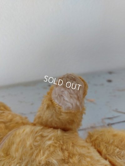 画像15: アンティークテディベア