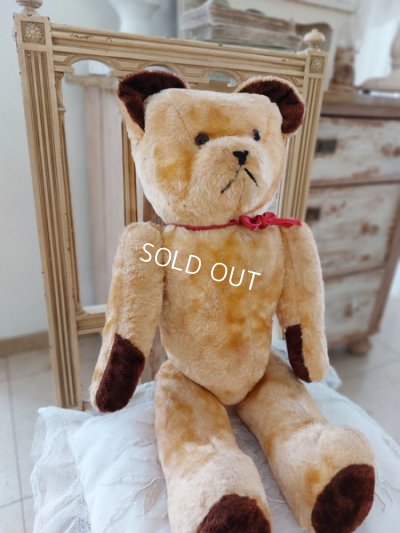 antiquejpmteddybear