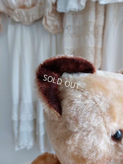 画像4: アンティークテディベア