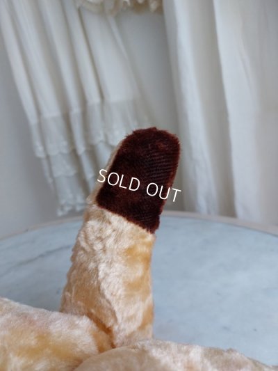 画像6: アンティークテディベア