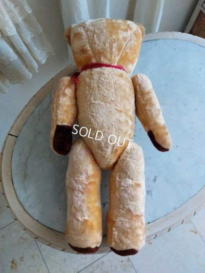 画像7: アンティークテディベア