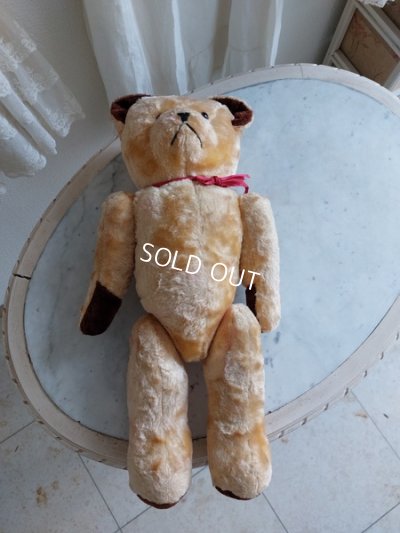 画像8: アンティークテディベア