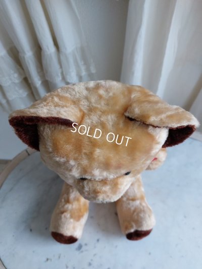 画像9: アンティークテディベア