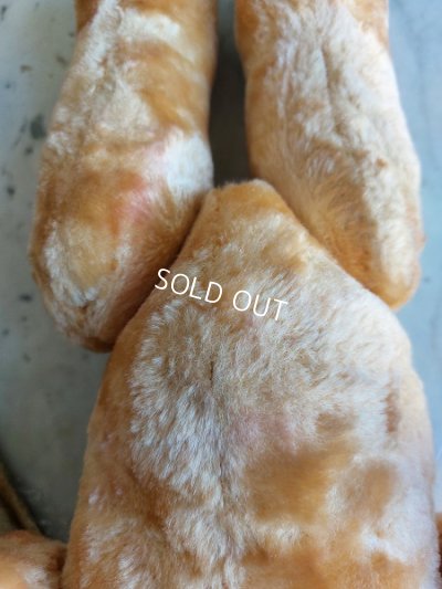 画像21: アンティークテディベア