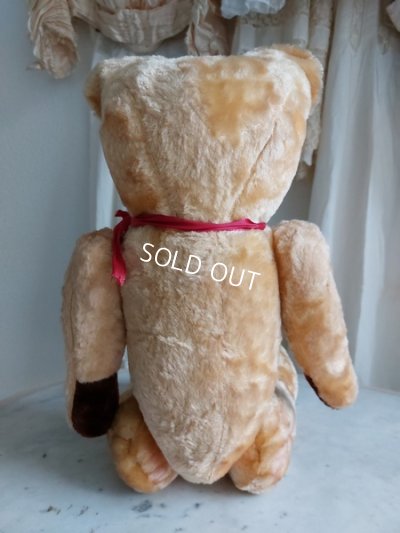画像14: アンティークテディベア