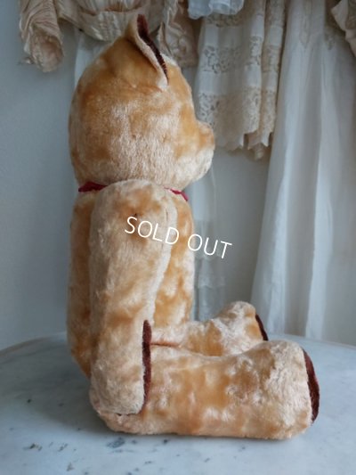 画像15: アンティークテディベア